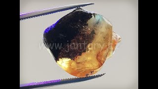 Okno do baltského jantaru PO-42