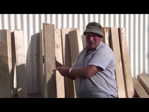 New Zealand poplar farm milling - poplar posts