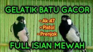 Download lagu Masteran Gelatik Batu Gacor Full Isian MEWAH mp3 Download lagu Masteran Gelatik Batu Gacor Full Isian MEWAH mp3