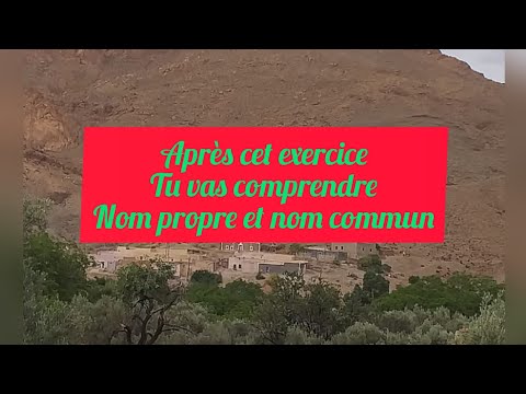 cours de base 4 : nom propre et nom commun ( exercice facile)