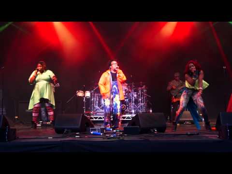 Cornbury Festival 2014: Arrested Development - Mr Wendal