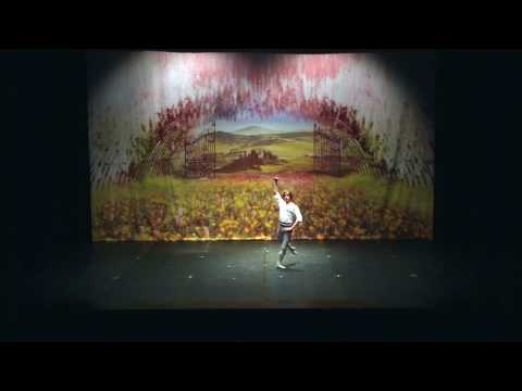 Егор Алферов-Мужская вариация из Пламя Парижа(Flame of Paris)