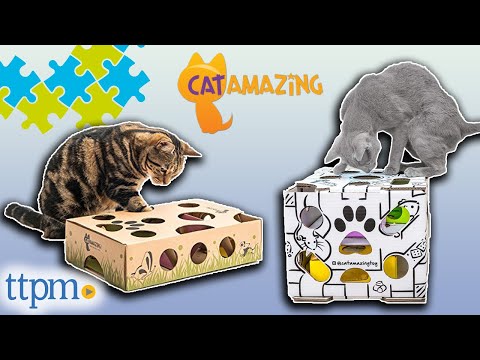 *Puzzle Toys for Cats* from Cat Amazing! Classic and Slider Toys Review | Are They Worth It? | TTPM