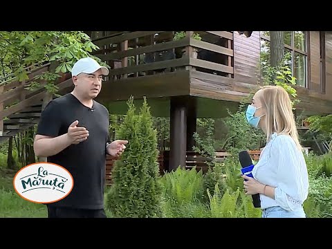 Casele din copaci din Porumbacu de Sus