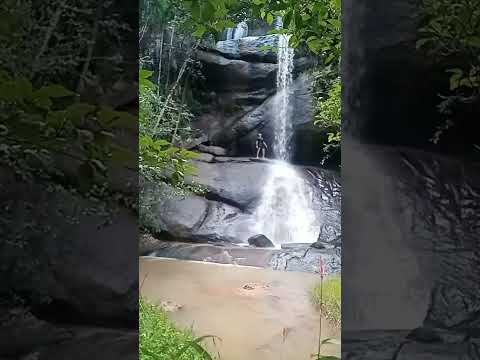 paludo.4.6 sempre na ativa cachoeira da mata da reserva em jucuruçu Bahia