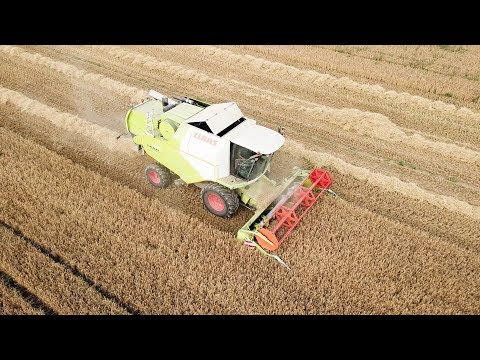 Gerste dreschen Claas Tucano 320 [Mittelfranken] 2018