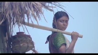 ভিডিও গ্যালারি