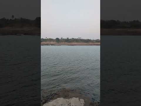 Narmada River | Statue Of unity Gujarat #shorts