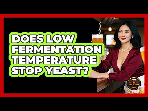 Does Low Fermentation Temperature Stop Yeast?