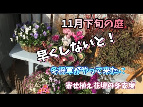  11月から12月に植えて春まで色とりどりの庭を作る、メンテナンス不要の冬の花5選！  庭園