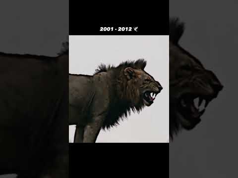 Sad end of Mr T 🦁 😔