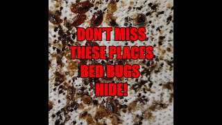 DON’T MISS THESE BED BUG HIDING PLACES! - How to treat a home for bed bugs - Top 3 places