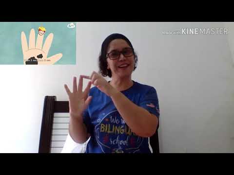 Bilíngue (Teacher Lidiane)