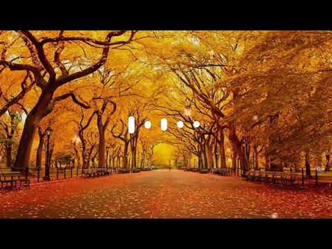 Ionutz-Easy(Official Music)