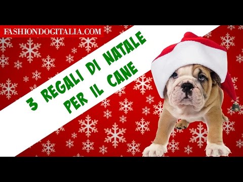 Iniezioni di potenza maschile Se le proteine sono dannosi per la potenza
