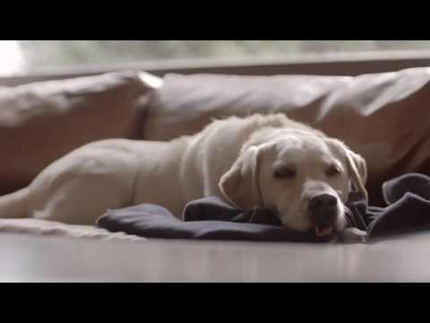 Someone Waits For You At Home, DON'T DRINK & DRIVE   Budweiser Ads