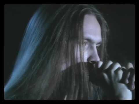 Polynove pole (The Wormwood field)