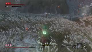 SEKIRO
