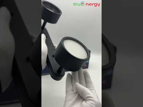 Миниатюра изображения товара Спот Truenergy 21464