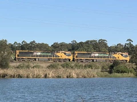 QRNational "5000 class" diesel locomotives with a long coal train