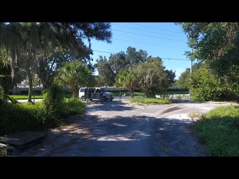 TDW 1548 - The Forgotten Disney Property