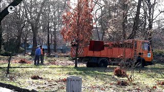 Община Кърджали купува нова сметосъбираща и сметопочистваща техника