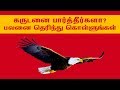 கருட தரிசனம் பலன்கள் கருடன் தரிசனம் Ga