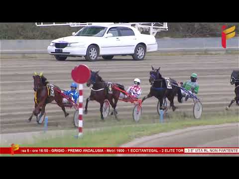 V Corsa del 20 Maggio 2023 - 3 Anni F - Metri 1600