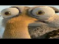 Ice Age DVD Opening