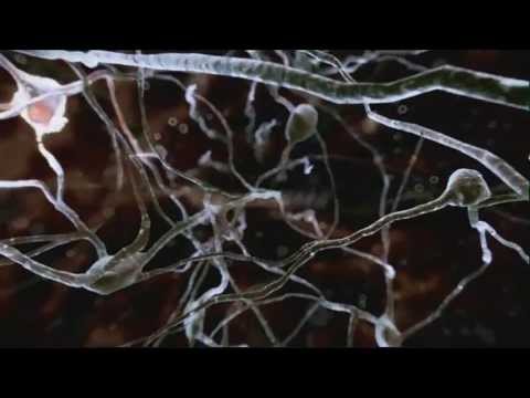 Medicinmannen episod 4