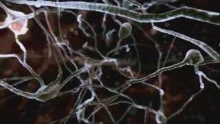 Medicinmannen episod 4