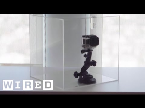 Part of a video titled See Everything That Happens When a Package is Shipped | WIRED