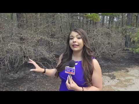 NJ Wildfires Latest