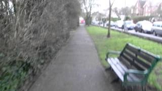 Robert Pollard - The Big Make-Over