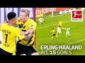 Erling Haaland - 15 Goals in Only 16 Bundesliga Games