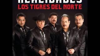 Los tigres del norte Hoy Le Hablo a diario