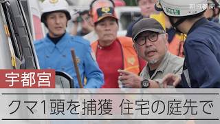 宇都宮市でクマ1頭を捕獲　住宅の庭先に潜んでいたところを発見
