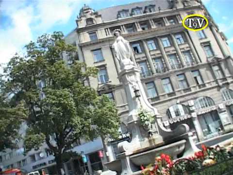 SC Beregvidek best of 2010