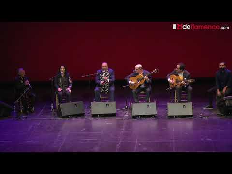 Extremadura Flamenca II. Silla de Oro de La Fortuna - Leganés