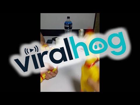 Rubber Chicken EDM || ViralHog