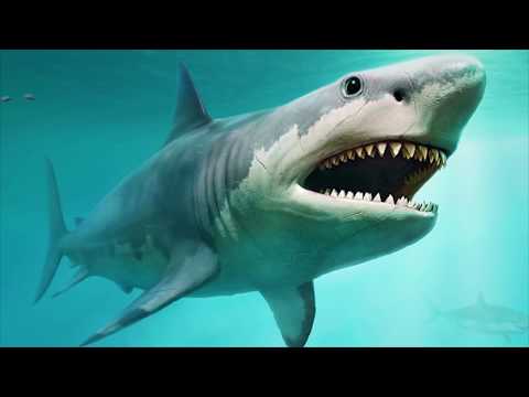 5 Lawan Mematikan Monster Megalodon
