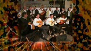 preview picture of video 'Navidad 2009 en Los Llanos de Aridane / LOS ARRIEROS'