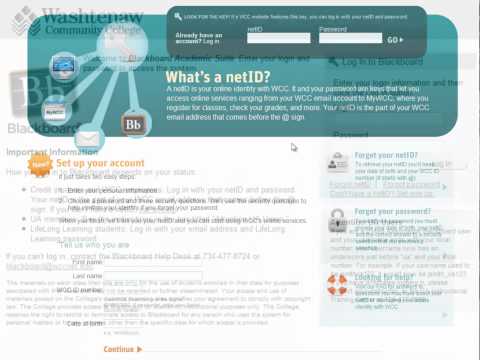 Logging In To Blackboard 8