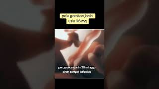 Download lagu Gerakan janin 38 mg #bayi #lahiran #love #usgkehamilan #reels #janin #melahirkan mp3 Download lagu Gerakan janin 38 mg #bayi #lahiran #love #usgkehamilan #reels #janin #melahirkan mp3