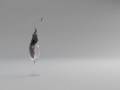 RealFlow 4 Rhino 4 V Ray