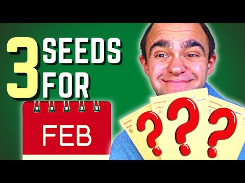 , title : 'Top 3 Seeds To Sow In February | Vegetables To Grow In Your Allotment Garden'