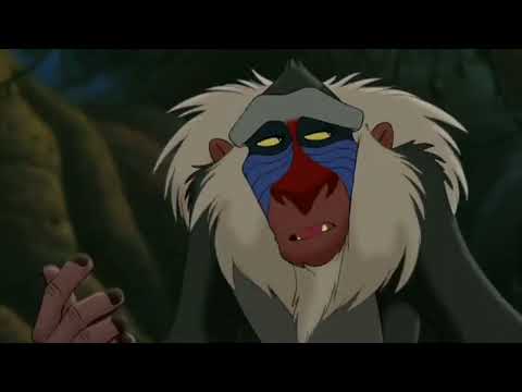 The Pebble and the Bear - Part 6 At The Ship/"The Good Ship Misery"