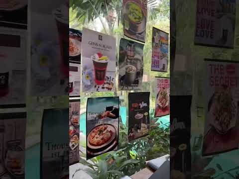 Café xịn xò ở Chiang Mai #travel #dulich #thailand #taka #vlog #chiangmai