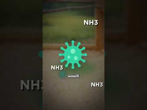 You should try this chicken coop hack...