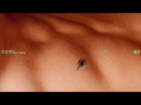 DJ MR.GIN - 蚊子(Mosquito) Official Visualizer